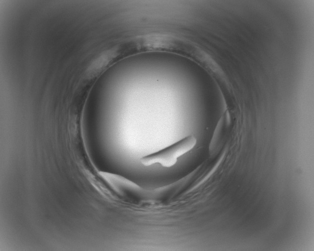 X0000082940401200702011311