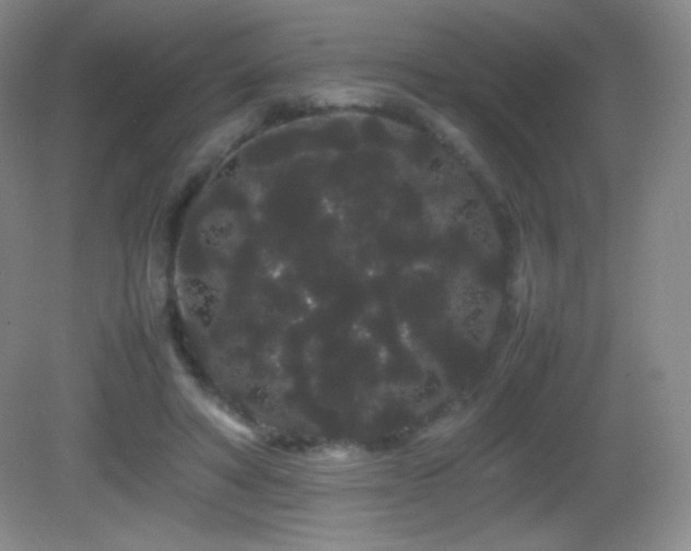 X0000082940402200702011311