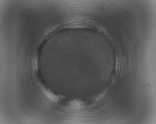 X0000082940404200702011311