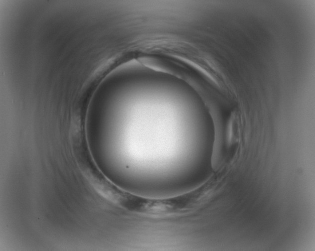 X0000082940407200702011311