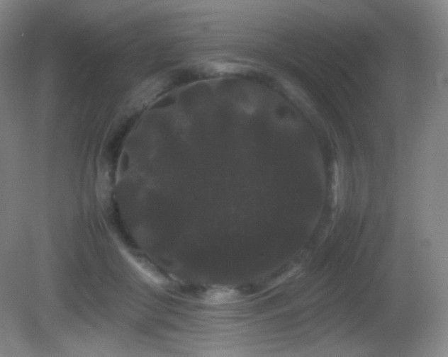 X0000082940410200702011311