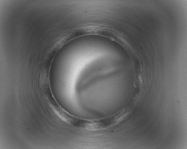 X0000082940411200702011311