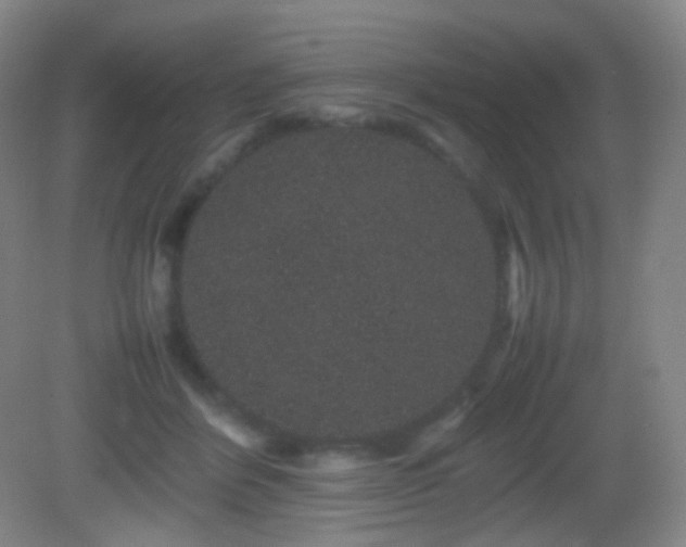 X0000082940412200702011311