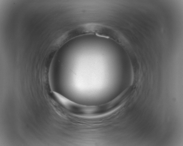 X0000082940413200702011311