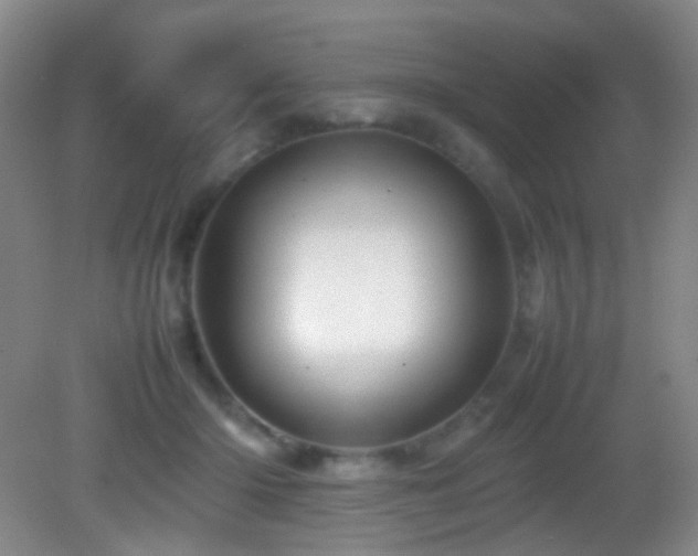 X0000082940414200702011311
