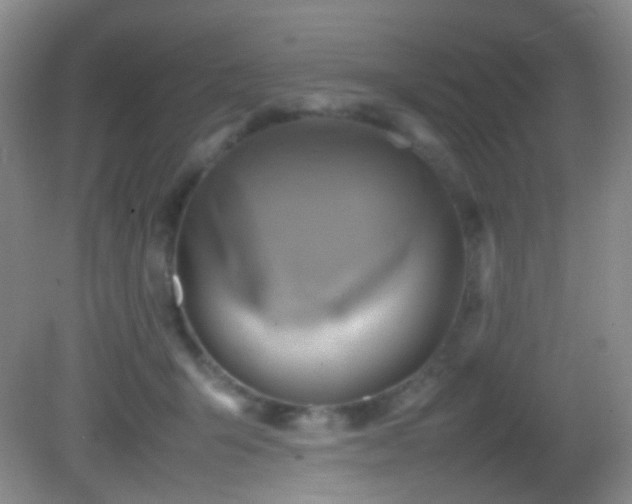 X0000082940415200702011311