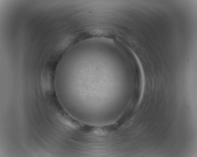 X0000082940416200702011311