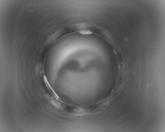 X0000082940419200702011311