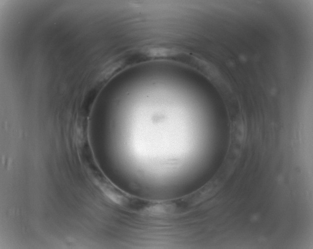 X0000082940422200702011310