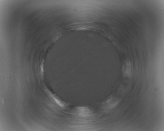 X0000082940424200702011310