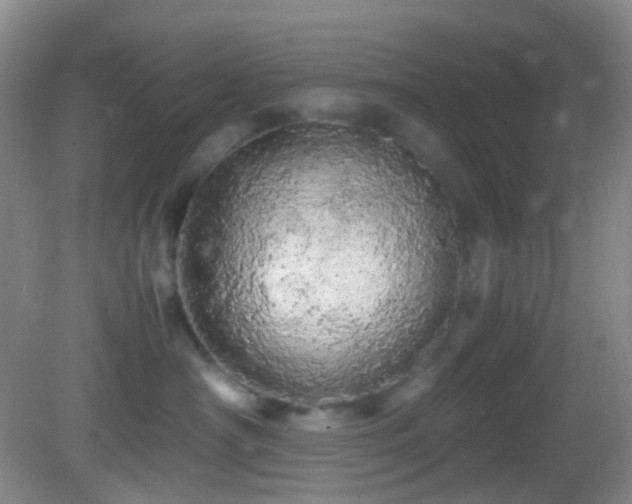 X0000082940430200702011310