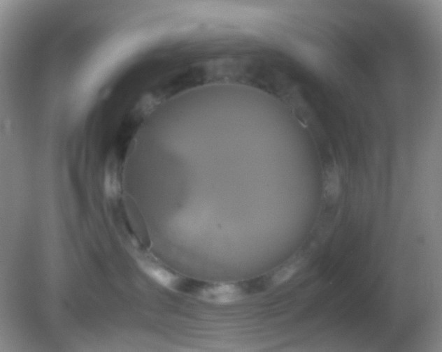 X0000082940431200702011310