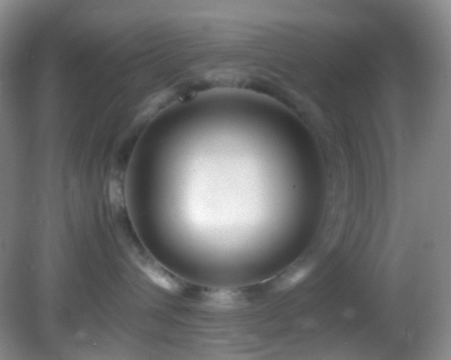 X0000082940432200702011310