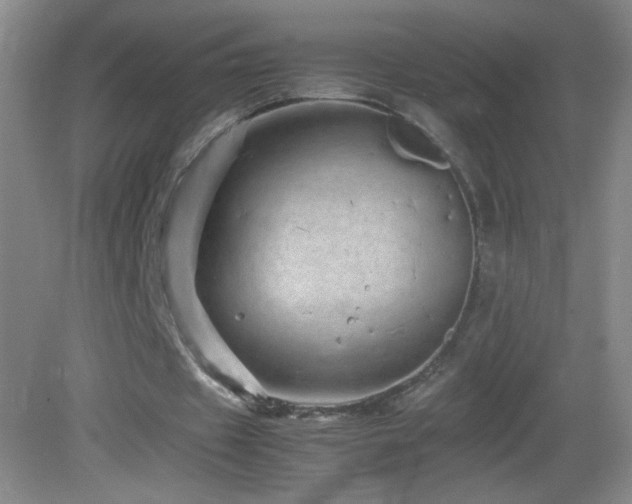 X0000082940433200702011310