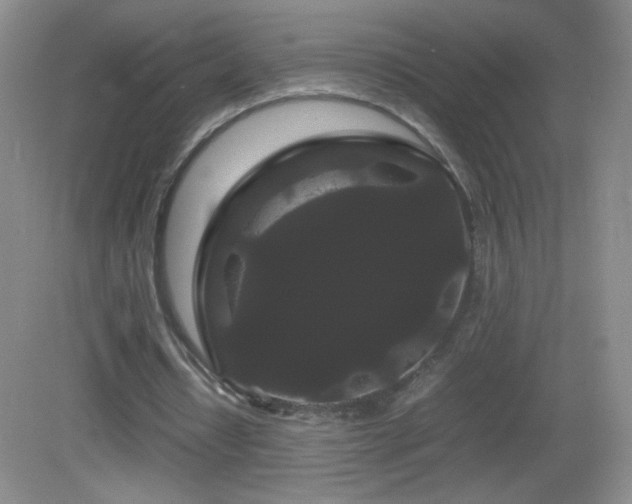 X0000082940434200702011310