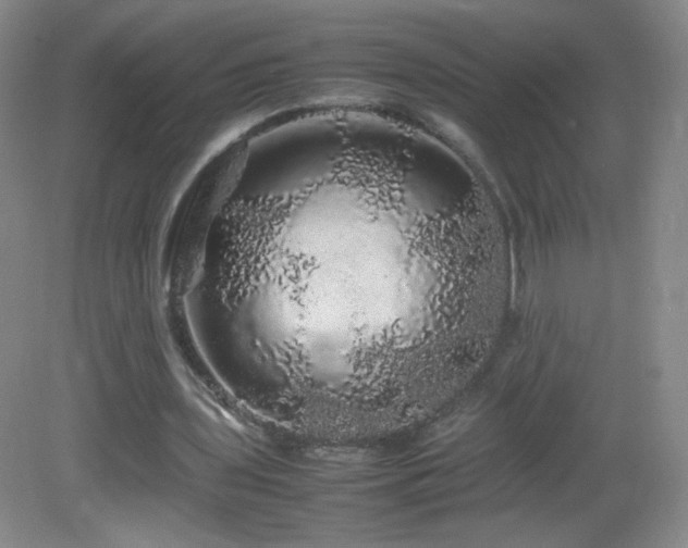 X0000082940435200702011310