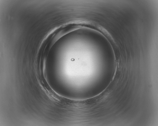 X0000082940436200702011310