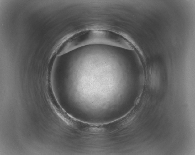 X0000082940437200702011310