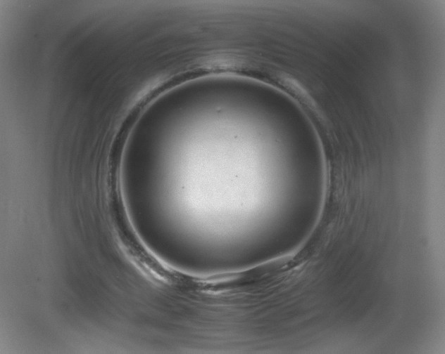 X0000082940439200702011310