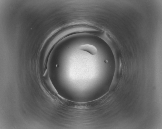 X0000082940440200702011310