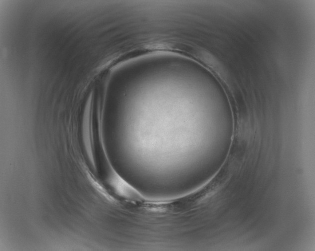 X0000082940441200702011310
