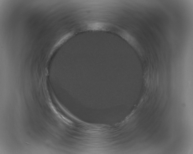 X0000082940442200702011310