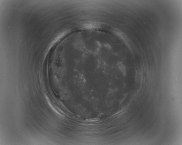 X0000082940443200702011310