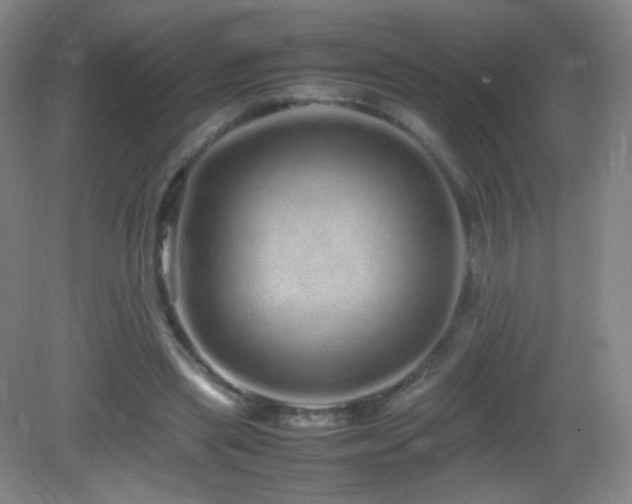 X0000082940445200702011310