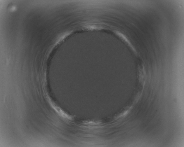 X0000082940447200702011310