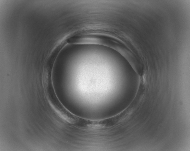 X0000082940448200702011310