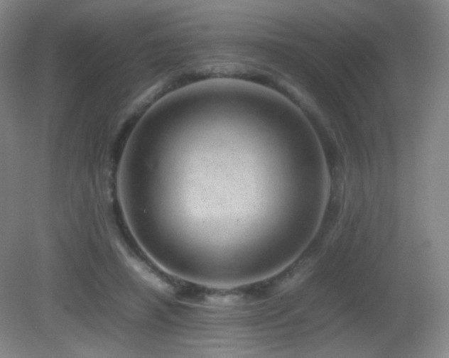 X0000082940450200702011310