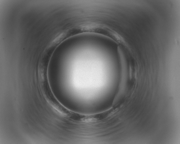 X0000082940452200702011310
