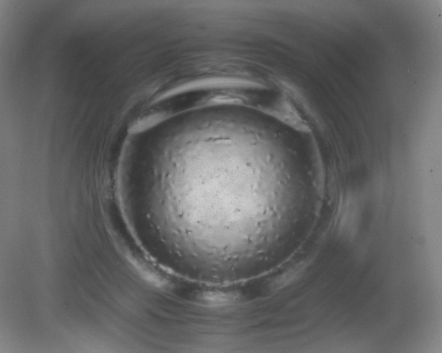 X0000082940453200702011310