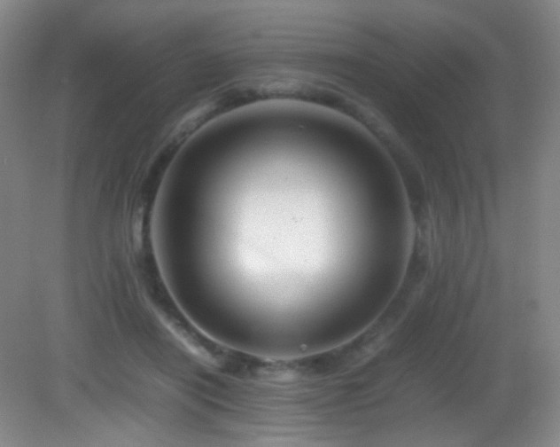 X0000082940454200702011310