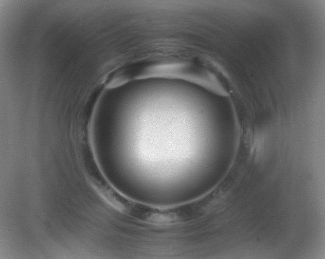X0000082940455200702011310