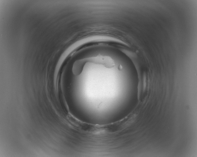 X0000082940456200702011310