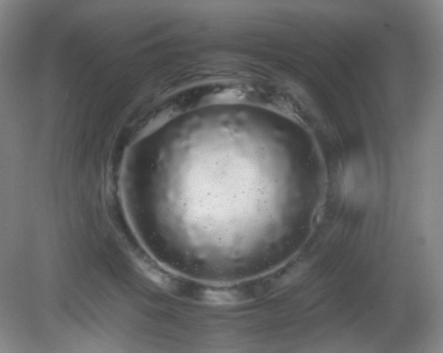 X0000082940457200702011310