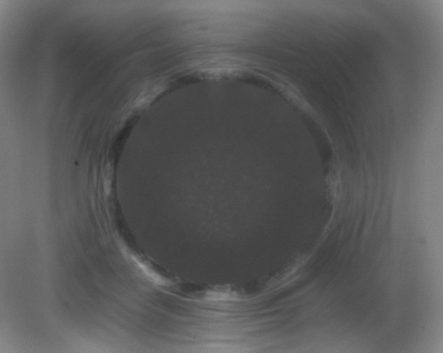 X0000082940458200702011310