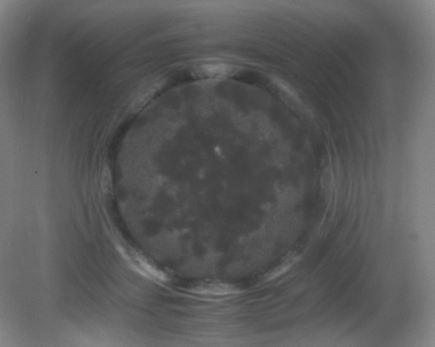 X0000082940459200702011310