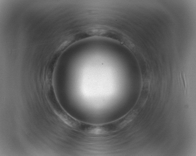 X0000082940460200702011310