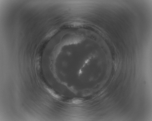X0000082940462200702011310