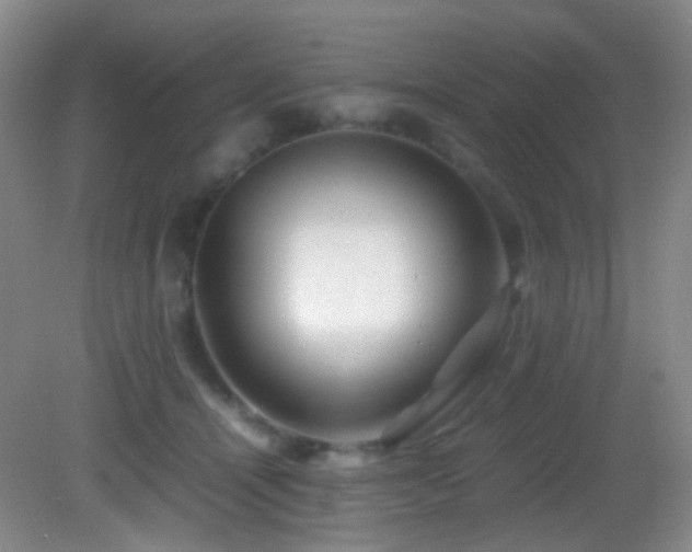 X0000082940464200702011310