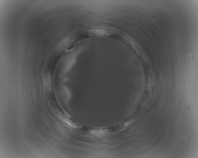 X0000082940465200702011310