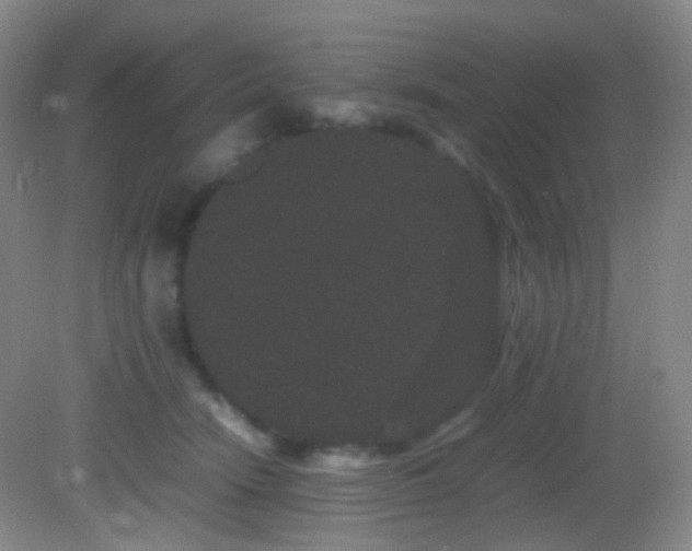X0000082940466200702011310