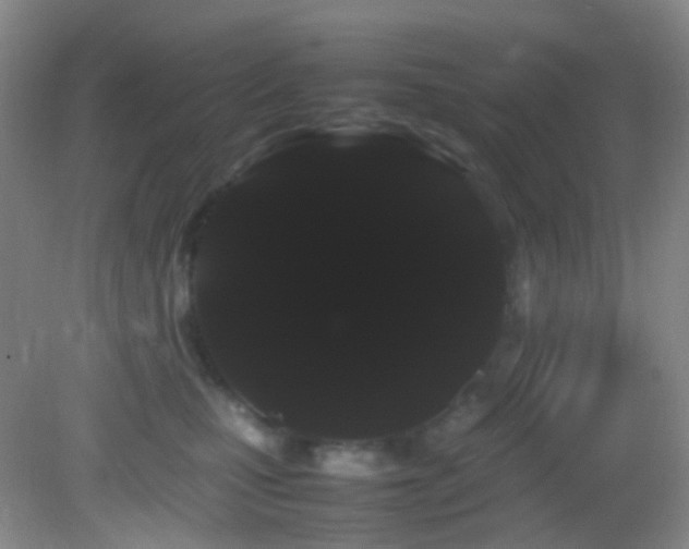 X0000082940471200702011310