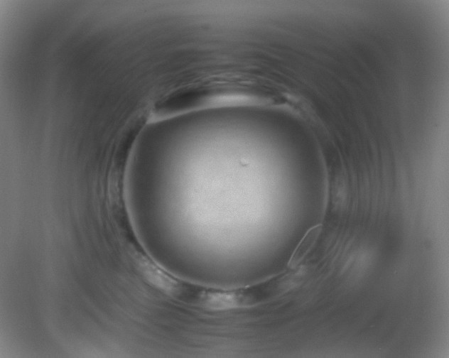 X0000082940473200702011310