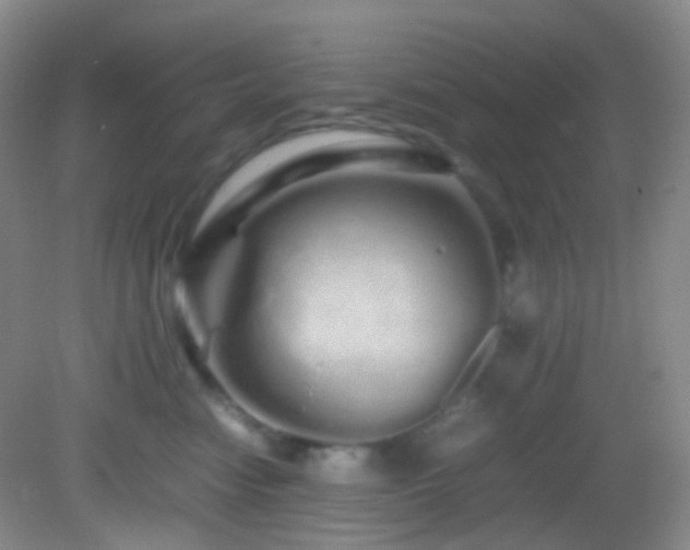 X0000082940474200702011310