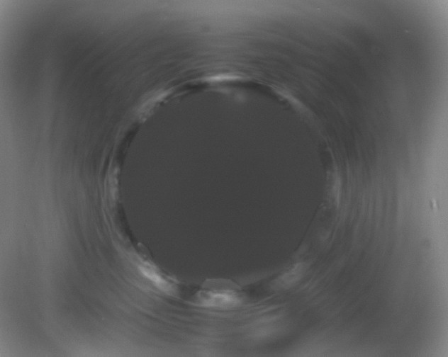 X0000082940475200702011310