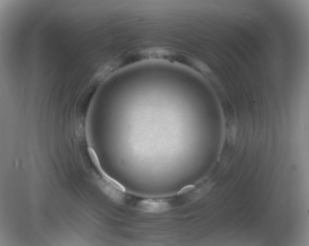 X0000082940477200702011310