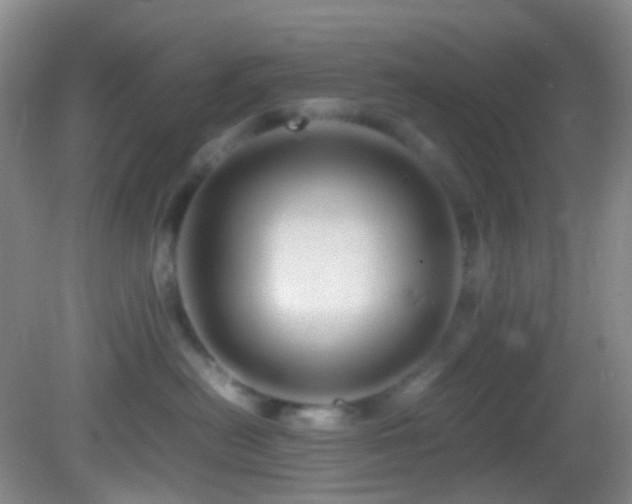 X0000082940478200702011310